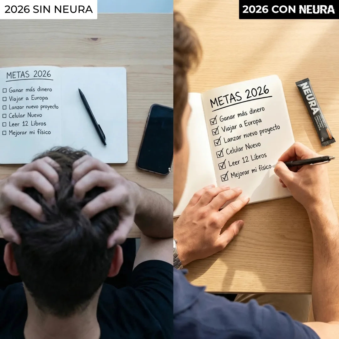 neura-pov